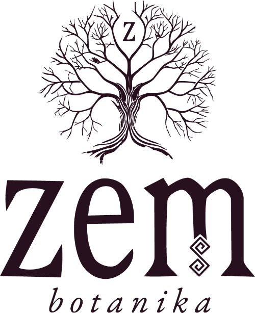 Zem